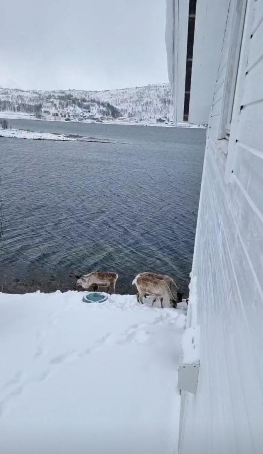 Kaldfjord Sea House Tromsø